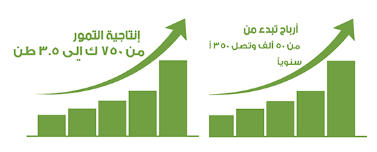 Dates Production